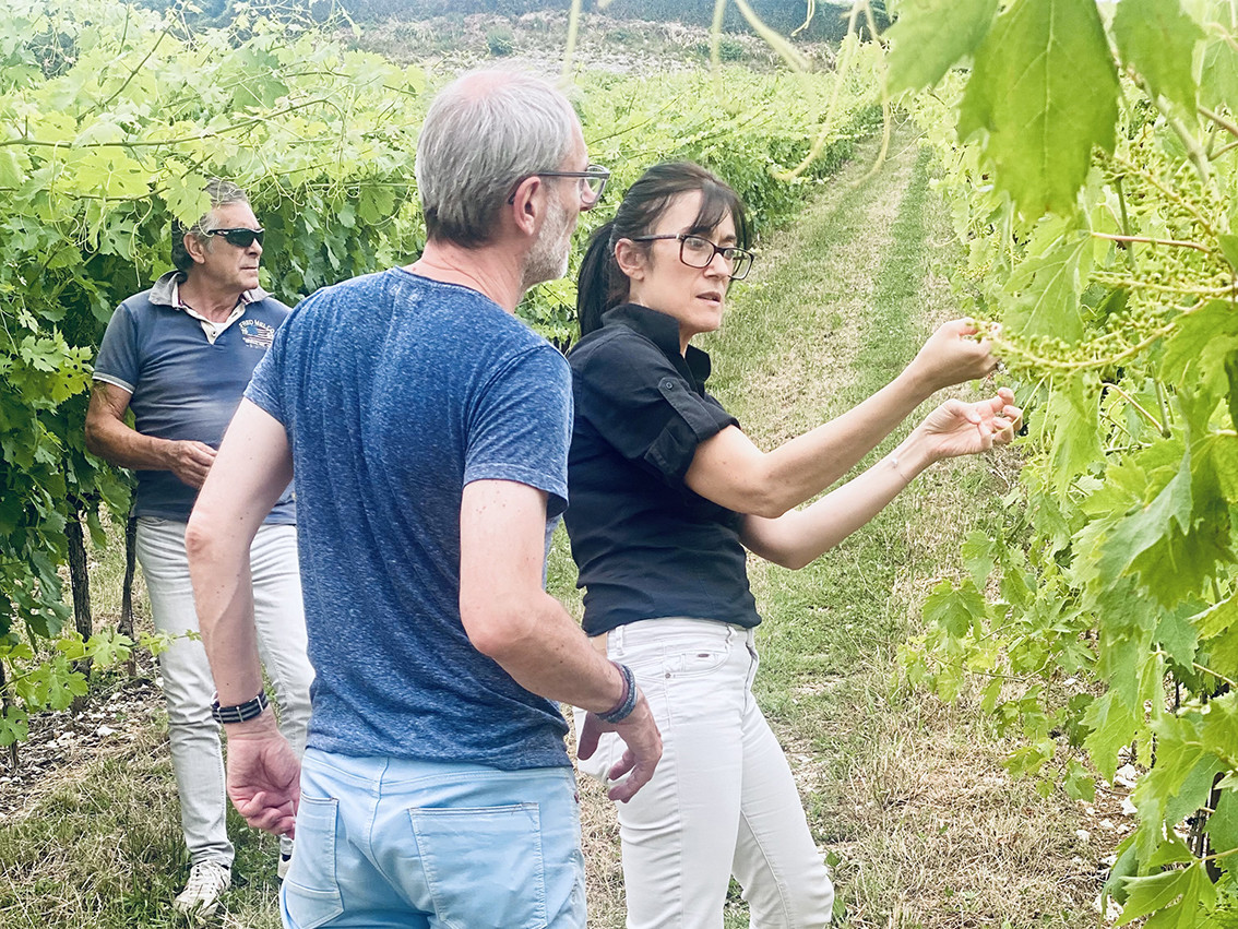 Zu Gast bei Il Canovino 3 Personen auf dem Weingut Il Canovino