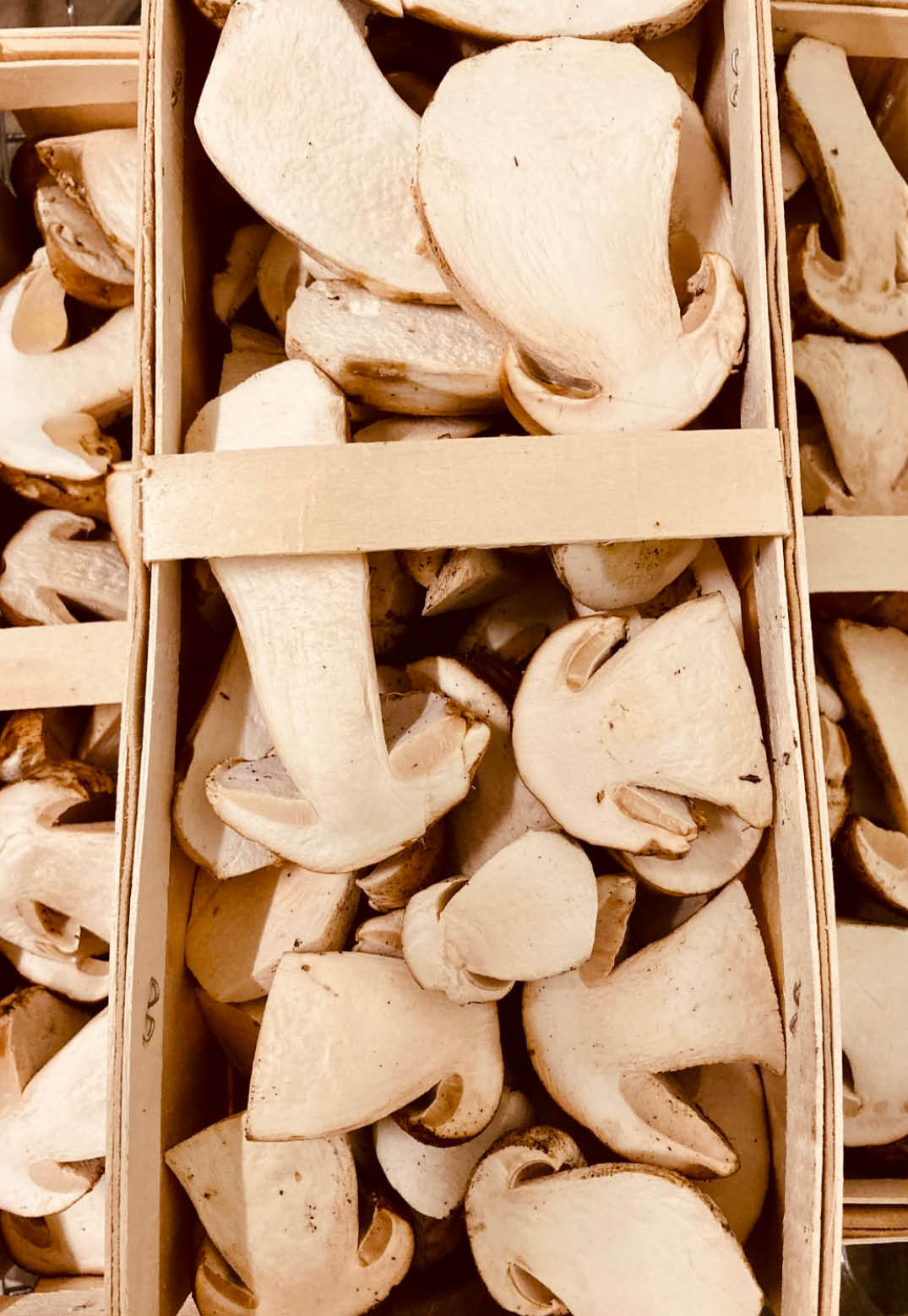 Angebot Maerz verschiedene Foodbilder